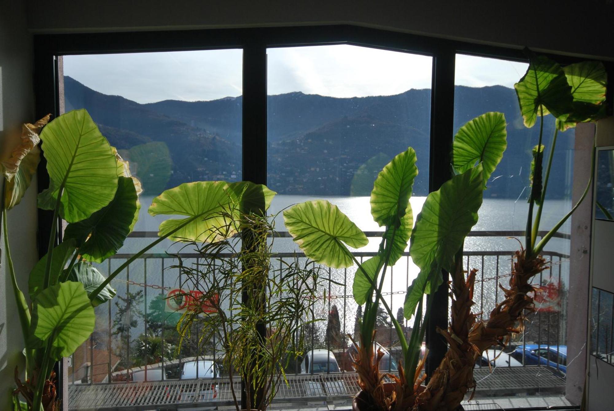 Andrea Olga House Apartment Laglio Exterior photo